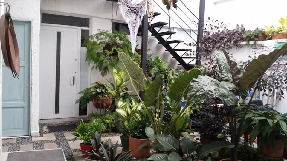 Moonshine Boutique Hostal Кали Екстериор снимка